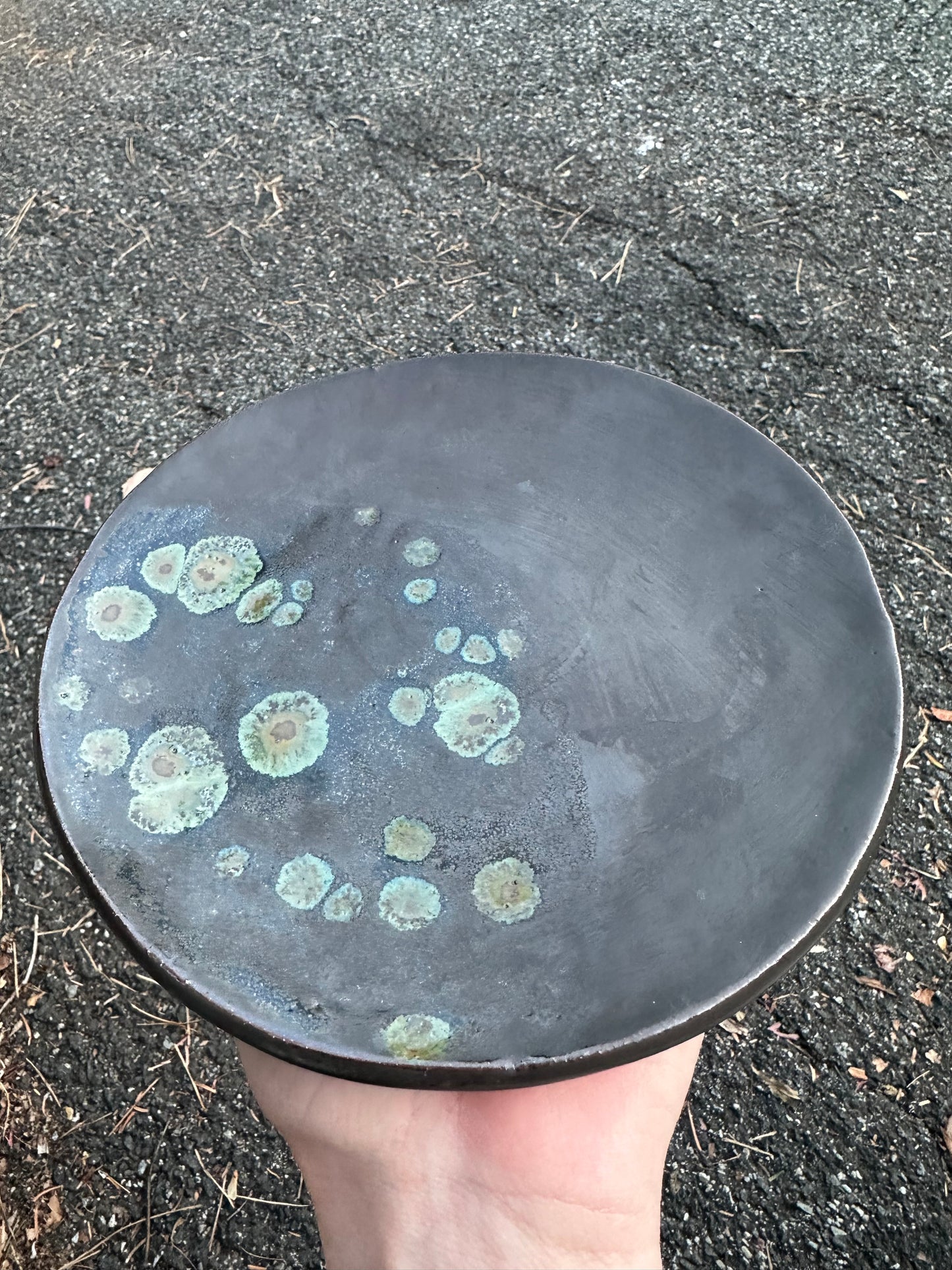 Green Bubble Plate