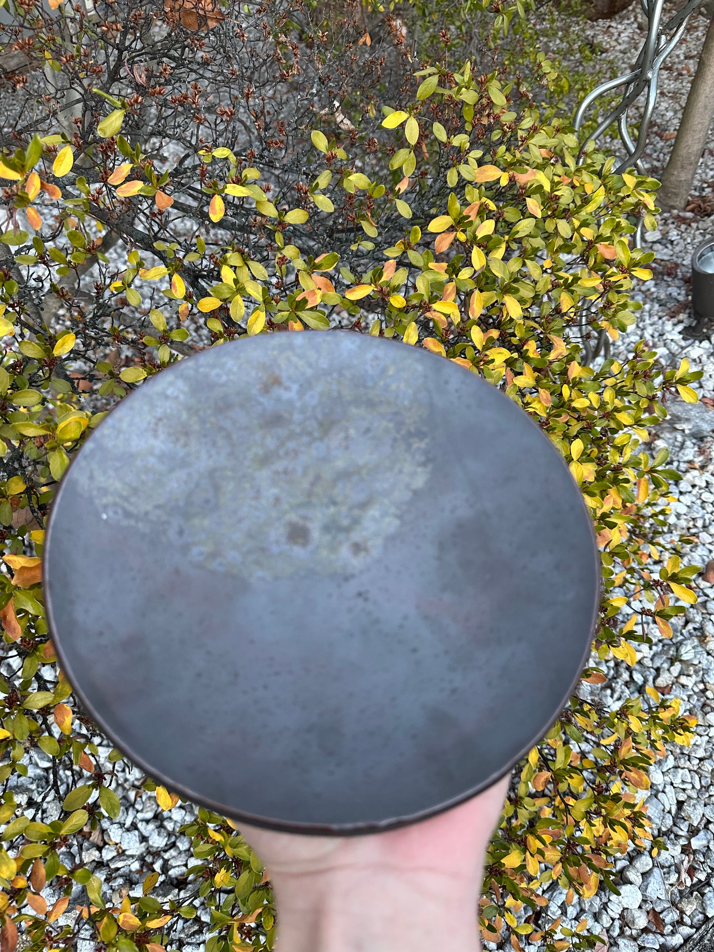 Burnt Moss Plate