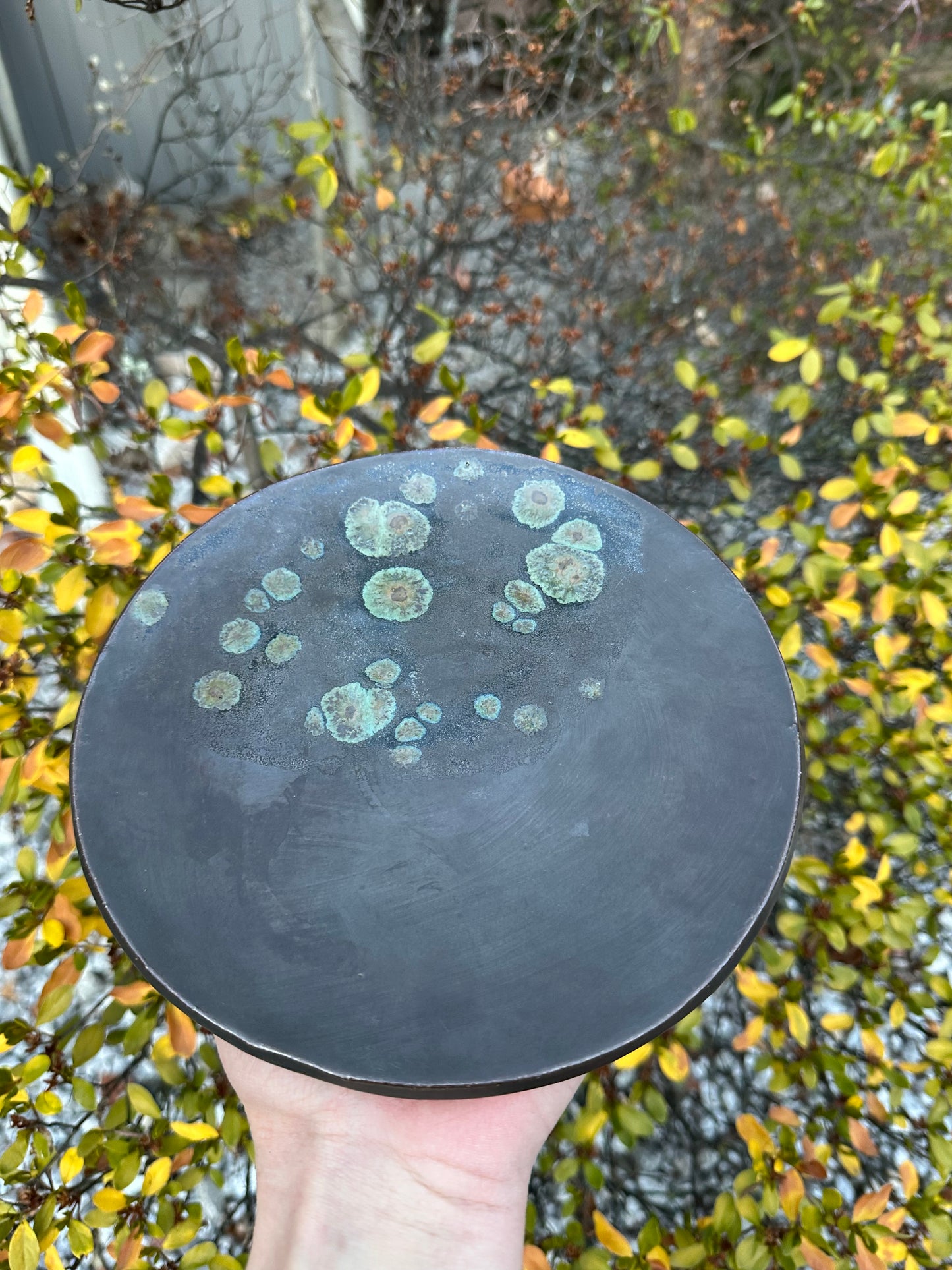 Green Bubble Plate